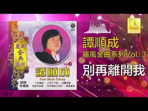 譚順成 Tam Soon Chern - 別再離開我 Bie Zai Li Kai Wo (Original Music Audio)
