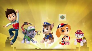 Five Little Fingers | PAW PATROL Finger Family Nursery Rhyme | Daddy Finger Song | Little