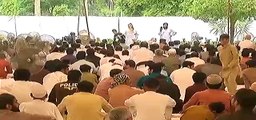 CM Punjab Bager Parotocol K Eid Ga Pouch Gay