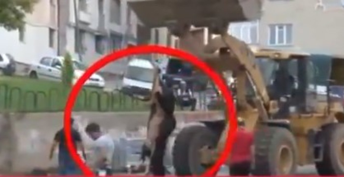 Sosyal medya bayramda bu videoları paylaşıyor 3