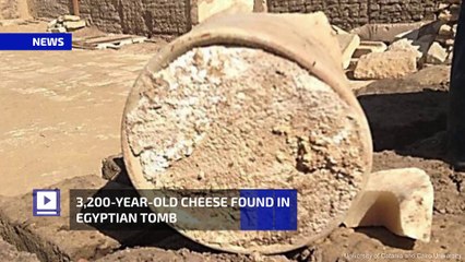 3,200-Year-Old Cheese Found in Egyptian Tomb