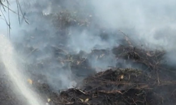 Kebakaran Lahan & Hutan di Kalbar, 12 Orang Ditangkap