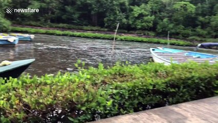 Scary moment Trinidad residents experience earthquake at swamp harbour