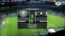 Palmeiras x Botafogo (Campeonato Brasileiro 2018 20ª rodada) 1º Tempo