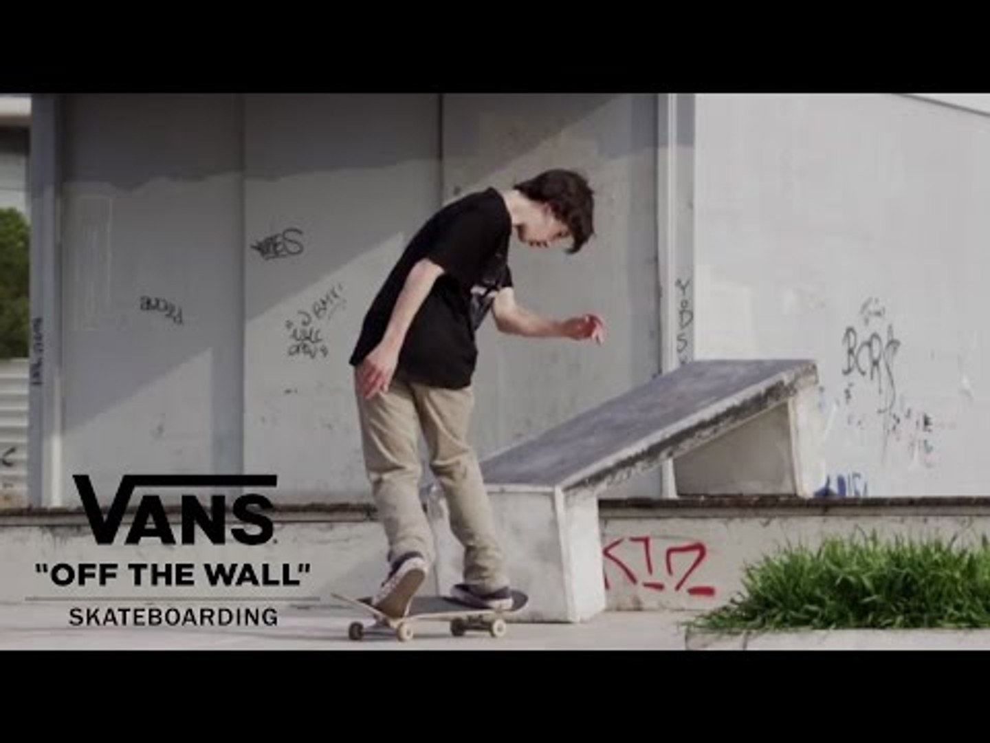 Welcome to the EMEA Team: Daan Van Der Linden | Skate | VANS - video  Dailymotion
