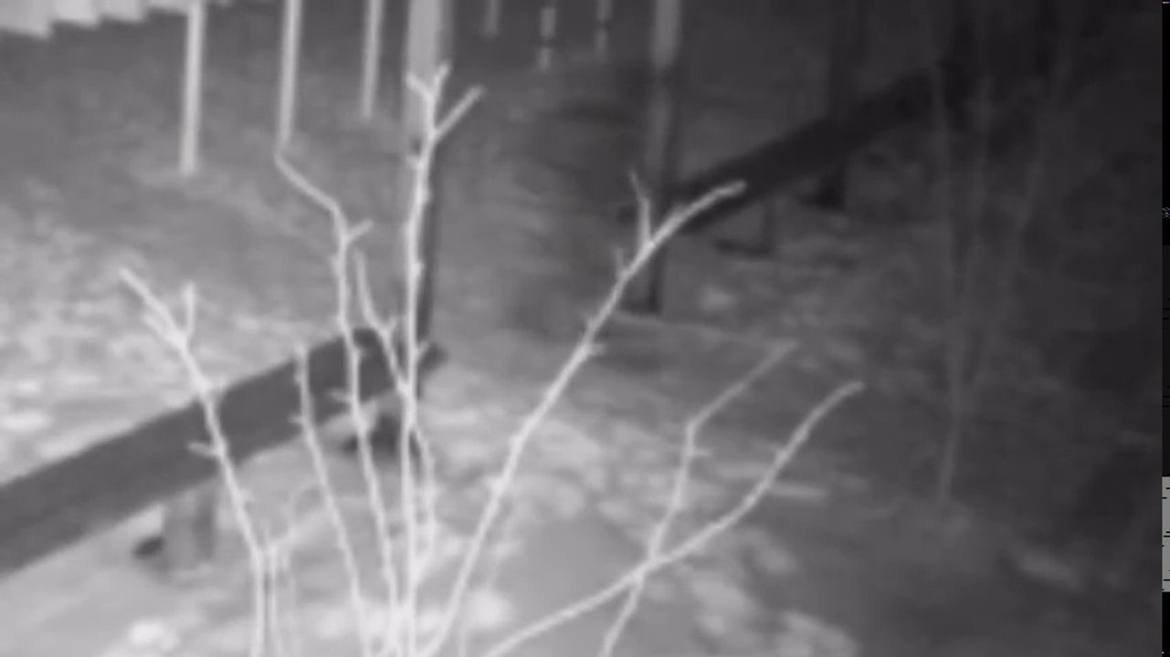 ##Scariest things Caught on Camera & Spotted In Real Life!!