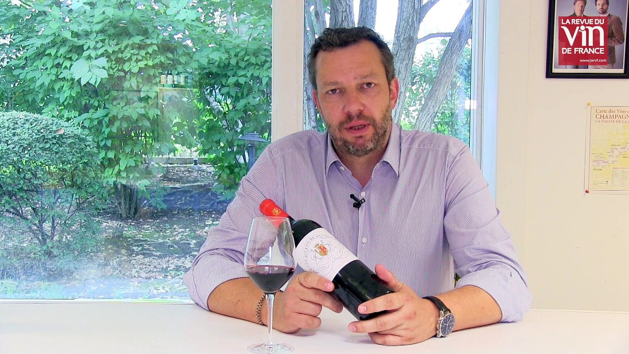 Guide Vert 2019 : Un vin de Bordeaux d'un grand millésime proposé à 20 euros