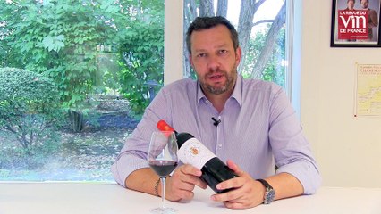 Guide Vert 2019 : Un vin de Bordeaux d'un grand millésime proposé à 20 euros