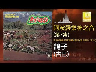 阿波羅 Apollo  - 鴿子 Ge Zi (Original Music Audio)