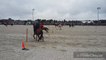 La Province - Sports équestres - La Belgique remporte le jeu des drapeaux aux championnats du monde par équipes de Pony Games à Ghlin