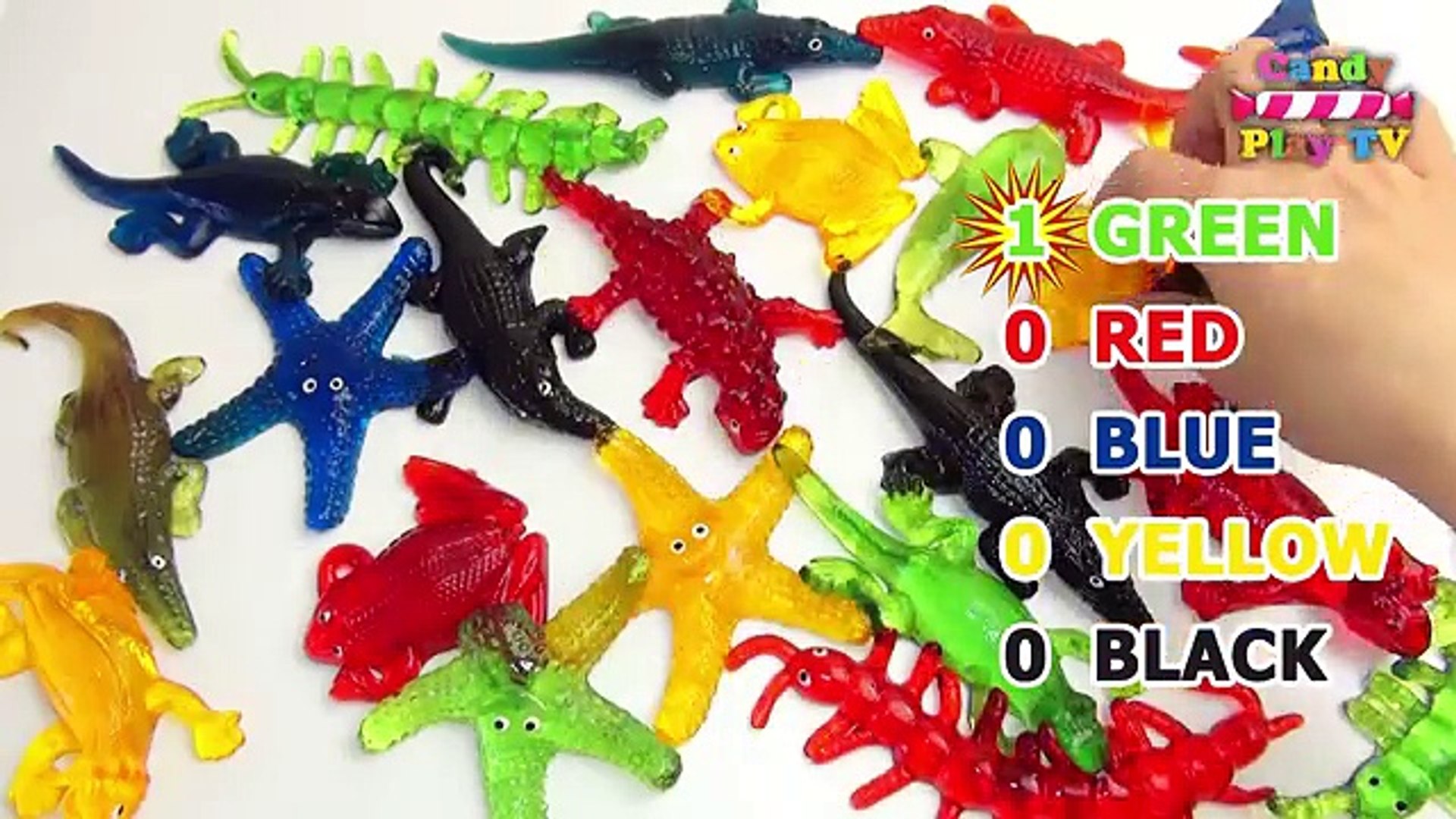 ⁣Learn Colours With Glitter Aquatic Animals | Fun Learning Contest | Learn Colours with Toy