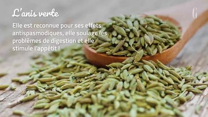 Santé : 5 plantes médicinales à cultiver à la maison