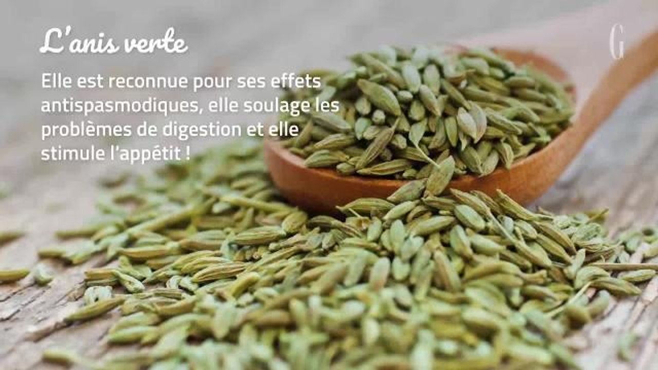 Santé : 5 plantes médicinales à cultiver à la maison