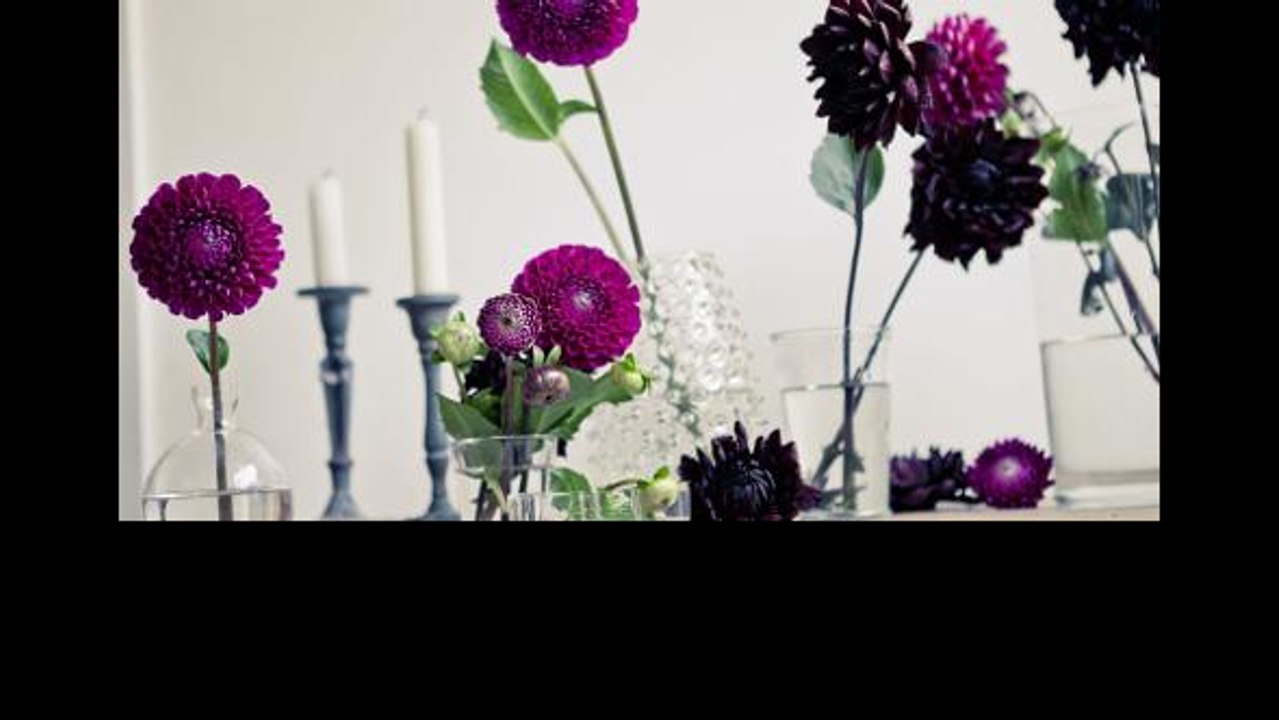 Five Fragrant Flowers To Look For In Your Next Perfume