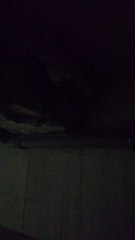 Fuites constatées Carrières-sous-Poissy - La croisette - Parking - Bâtiment C - 2018-06-12