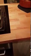 beach hut made of raw meat, potato, veg and naan bread