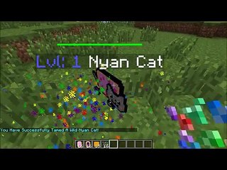 Minecraft: Nyan Cat Mod