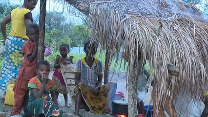 فرار الآلاف من الكاميرون إثر حملات للقضاء على انفصاليين