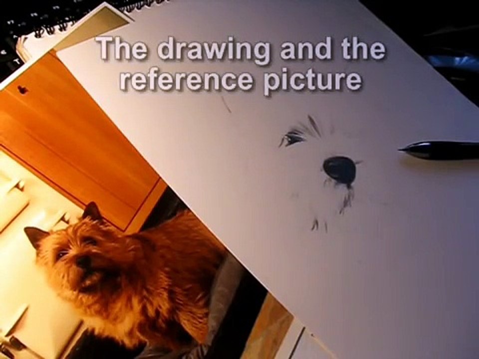 Drawing fur