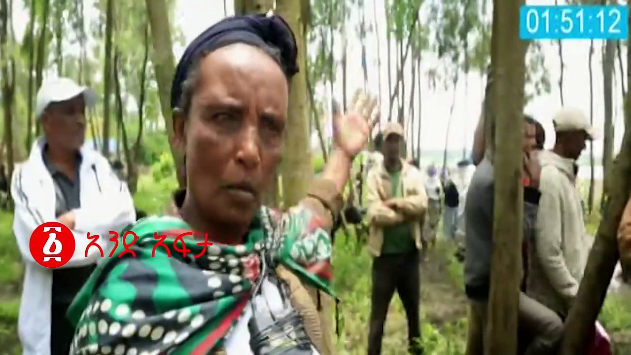 Ethiopia: አስደንጋጭ የጎርፍ አደጋ በአዲስ አበባ ቃሊቲ አቃቂ አከባቢ ተከሰተ!!