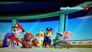 Mini sigla Paw Patrol Italiano