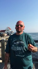 Seagull Grabs Snack Off Man's Head