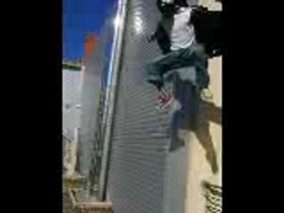 Z TEAM