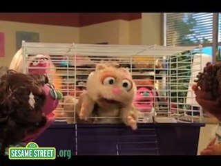 Sesame Street: Preschool Musical