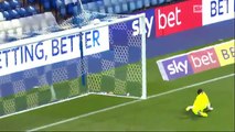 Sheffield Wed 2 – 1 Millwall (Championship) Highlights
