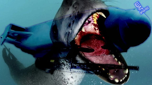 Seal - unmanned underwater guard