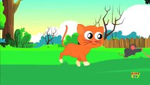 Cat Song | Songs For Toddlers | Nursery Rhymes For Children | Kids Tv Nursery Rhymes For B