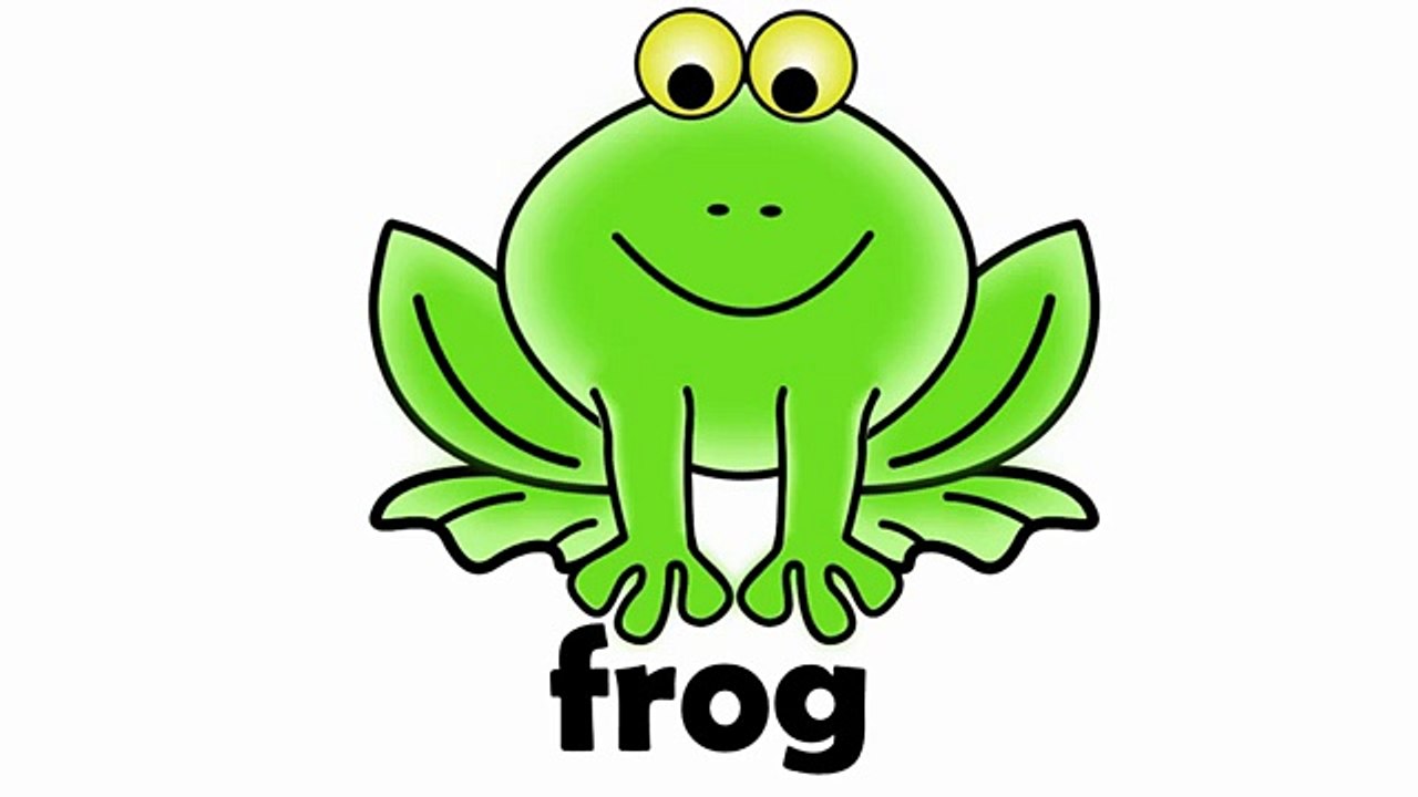 Animal Sounds for Kids Video