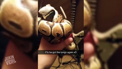 Best Videos of the Week 3 Compilation || June new JukinVideo