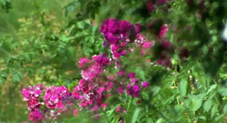 Faulks on Fiction S01  E02 The Lover   Part 01