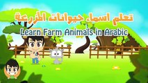 Farm Animals in Arabic for Kids الحيوانات للأطفال حيوانات المزرعة باللغة العربية للاطفال