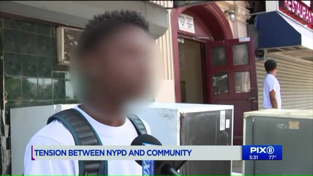 Teen Brothers Filmed Berating Cops Arrested in Separate Robberies: NYPD