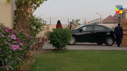 Aik Larki Aam Si Episode #46 HUM TV Drama 21 August 2018