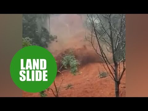 Trees and homes uprooted in a massive landslides which left four dead, in India