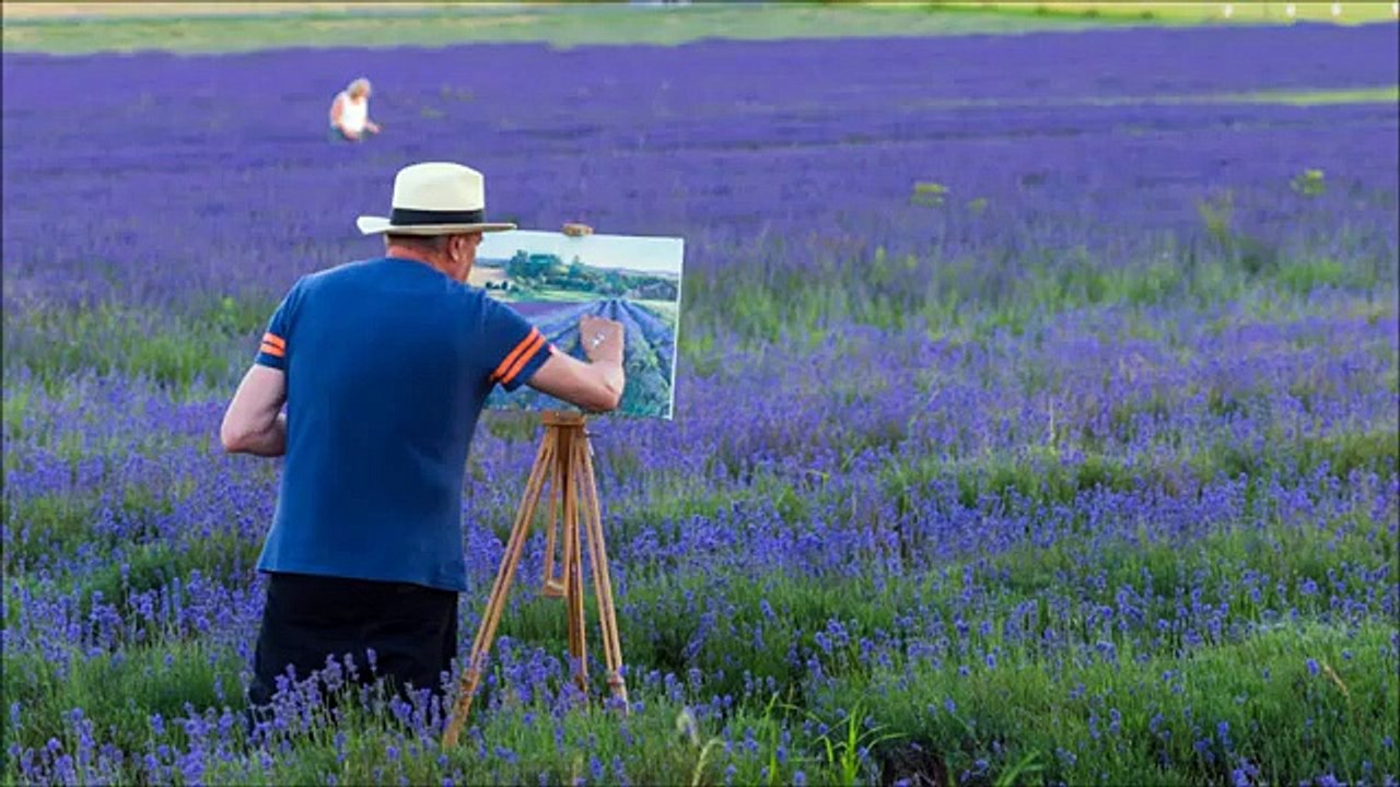 Hitchin Lavender Farm, Hertfordshire