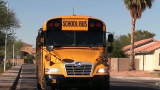 School Bus Drivers.Living the dream??