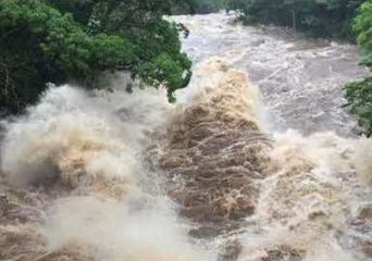 Wailuku River Roars Through Hilo