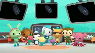 Octonauts Learn about Tentacles | Cartoons for Kids | Underwater Sea Education