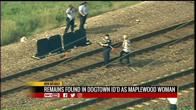 Human Remains Discovered in St. Louis Identified as Missing Woman