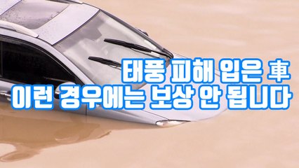 [자막뉴스] 태풍 피해 입은 차, 이런 경우에는 보상 안 됩니다 / YTN