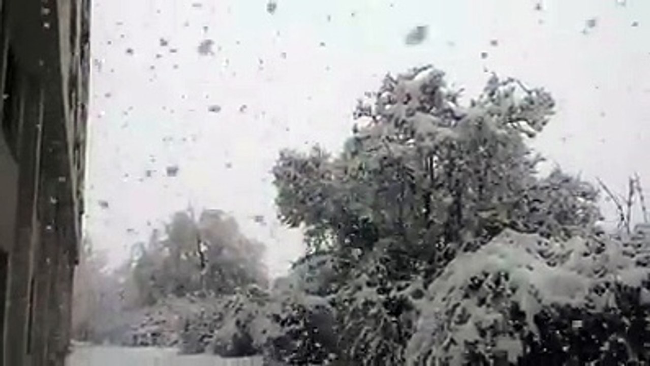 Beautiful snowing ❄️