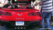 new Corvette C7 Stingray Start Up   Exhaust SOUNDS!