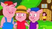 Tiga Babi Kecil Kartun Anak Cerita2 Dongeng Anak Bahasa Indonesia Cerita Untuk Anak Anak