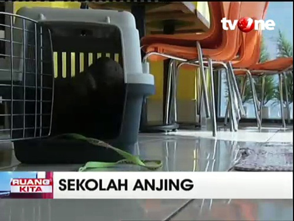 Menengok Sekolah Anjing di Korsel