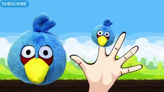 Finger Family ANGRY BIRDS Finger Family NURSURY RHYMES song
