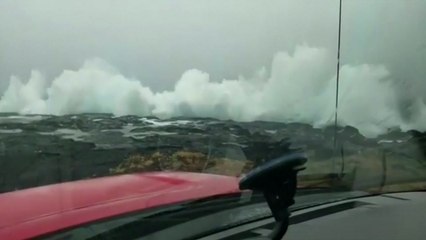 하와이, 26년만에 대형 허리케인 상륙...연방재난지역 선포 / YTN